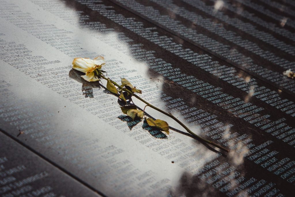 A white rose placed on a reflective memorial wall listing names, conveying remembrance.
