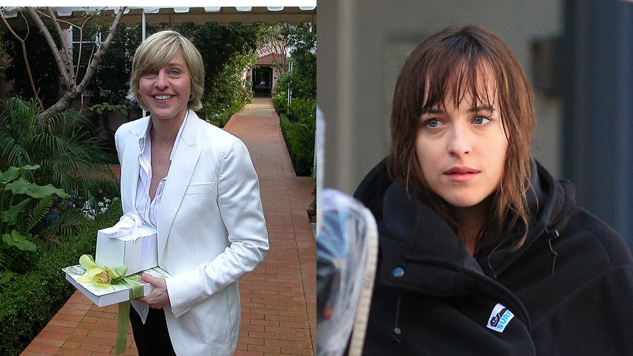 The Day Dakota Johnson Called Out Ellen DeGeneres on Live TV